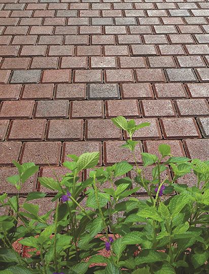 Cobble Square