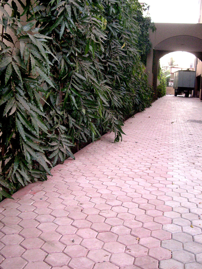 Trihex Grooves at Swaminarayan Temple, Surat